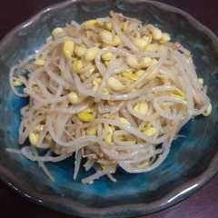 รูปของ うま～い！豆もやしのナム～ル！