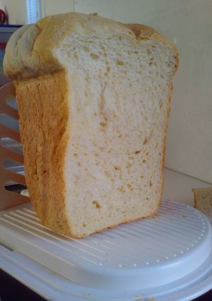 コーンミールでつぶうまっ♪米粉入りパン-レシピのメイン写真