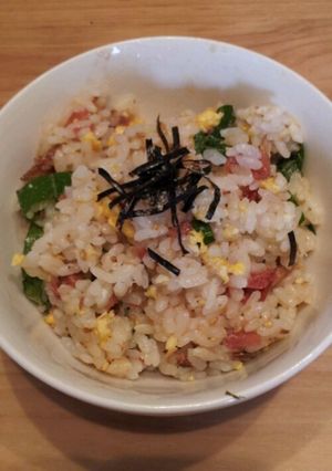 夏バテ節約に！梅とさんま缶の混ぜごはん-レシピのメイン写真