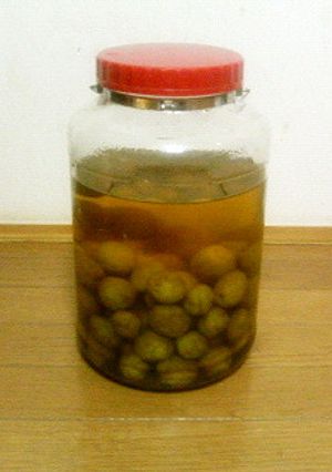 ウォッカで漬けた梅酒-レシピのメイン写真