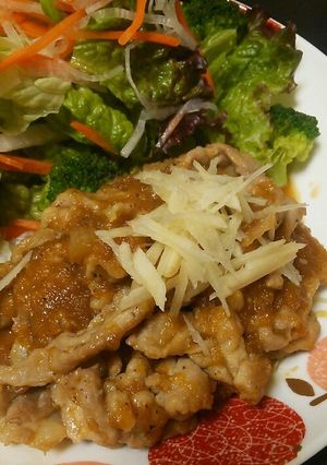 玉ねぎでお肉柔らか♪豚肉のしょうが焼き-レシピのメイン写真