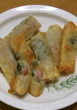 餃子の皮deミニ春巻き風-レシピのメイン写真
