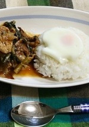 簡単！春菊もりもりハッシュドビーフ-レシピのメイン写真