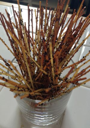 おつまみパスタスティック-レシピのメイン写真