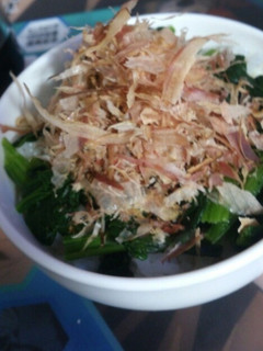 素晴らしきズボラ飯☆簡単おひたし丼-レシピのメイン写真