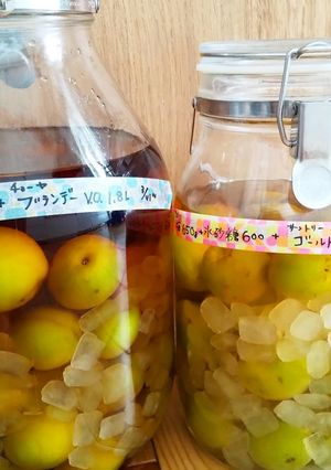 ＊梅酒　定番から変り種＊-レシピのメイン写真