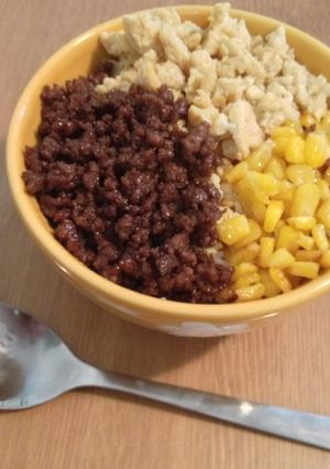 夏予行練習!お弁当にも使える三色そぼろ丼-レシピのメイン写真