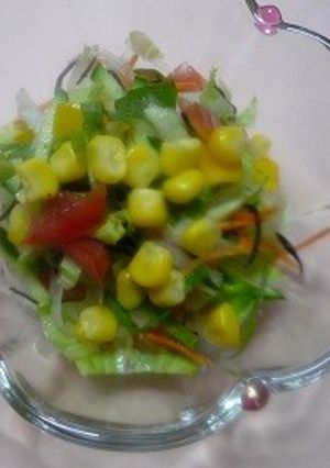 野菜１０品目ヘルシ—サラダ-レシピのメイン写真