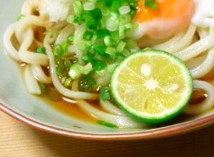 めんつゆで簡単☆ぶっかけおろしうどん♪-レシピのメイン写真