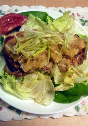 トースターで♪鶏もも肉のおろしポン酢-レシピのメイン写真