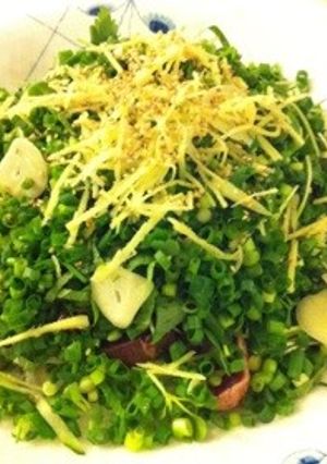 薬味たっぷりカツオのたたき-レシピのメイン写真