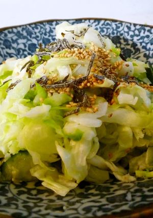 レンジで簡単・きゃべつの即席漬け-レシピのメイン写真
