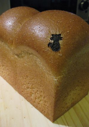 糖質オフ✿　塩麹deオーツ麦ふすまのパン-レシピのメイン写真