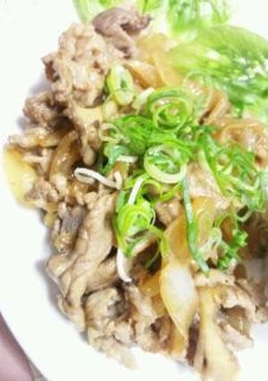 我が家の定番♪＊豚の生姜炒め＊-レシピのメイン写真
