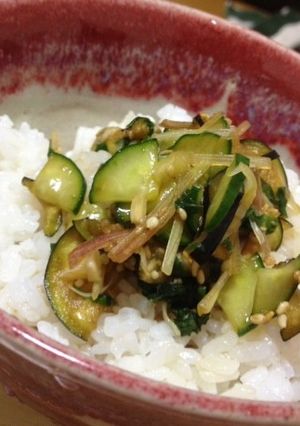 超簡単！なすとキュウリの冷や茶漬け☆-レシピのメイン写真