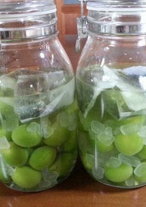 緑茶梅酒-レシピのメイン写真