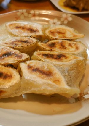 キャベツとネギの焼き餃子-レシピのメイン写真