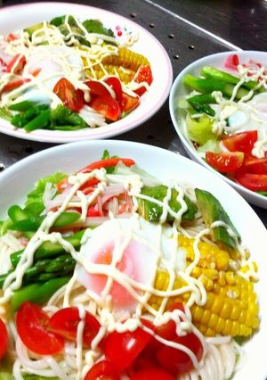 野菜たっぷりサラダうどん-レシピのメイン写真
