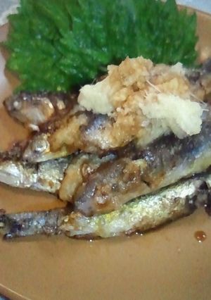 簡単!小鰯の揚げ焼き-レシピのメイン写真
