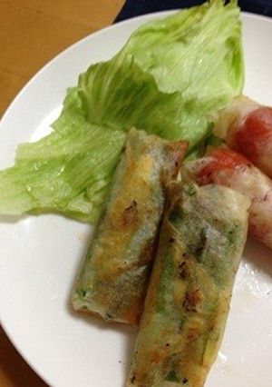 アスパラだけ✿春巻き-レシピのメイン写真