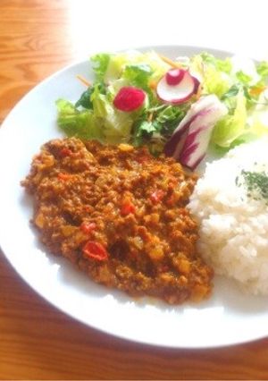 フレッシュトマトと挽肉のカレー-レシピのメイン写真