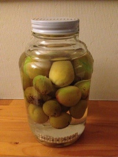 梅500gで梅酒-レシピのメイン写真
