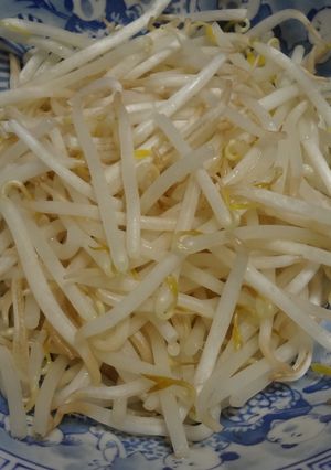 レンジ3分で万能シャキシャキもやし!-レシピのメイン写真