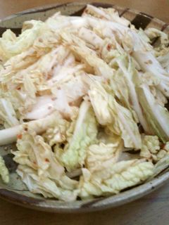 白菜の韓国風和え物-レシピのメイン写真
