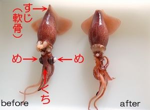 全工程写真付簡単！ホタルイカの下ごしらえ-レシピのメイン写真