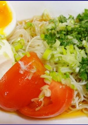かけそうめん☆暑い夏の愉しみ♪-レシピのメイン写真