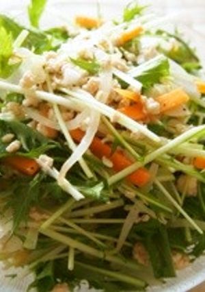 シャキシャキ水菜のナンプラーサラダ-レシピのメイン写真