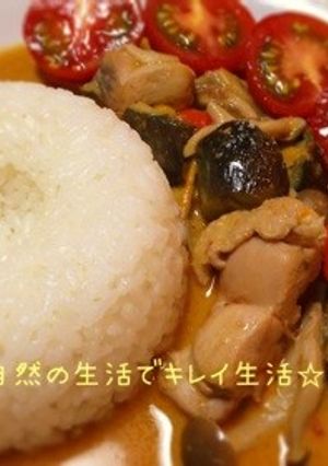 ロイタイ☆簡単レッドカレー-レシピのメイン写真