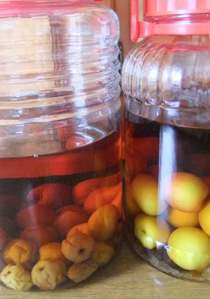 うちの梅酒-レシピのメイン写真