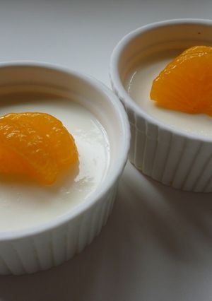 ヨーグルトゼリー-レシピのメイン写真