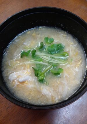 もやしと卵の味噌汁-レシピのメイン写真
