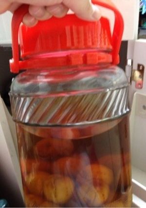 ウォッカを使った梅酒-レシピのメイン写真