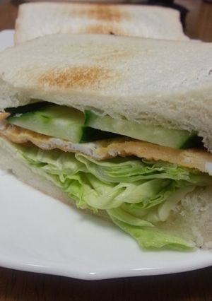 野菜いっぱいホットサンド-レシピのメイン写真