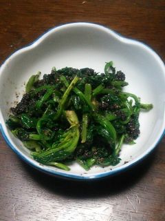 ほうれん草の胡麻和え-レシピのメイン写真