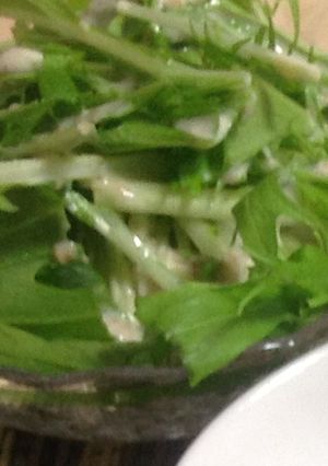 水菜ととうふの豆乳ごまドレがけ-レシピのメイン写真