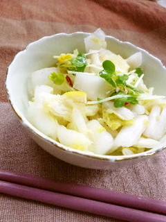 超簡単☆白菜の爽やか浅漬け風サラダ-レシピのメイン写真