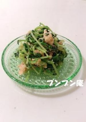 豆苗とツナの酢みそ和え-レシピのメイン写真