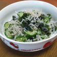 ★パル吉サン家のちりめんの酢の物★