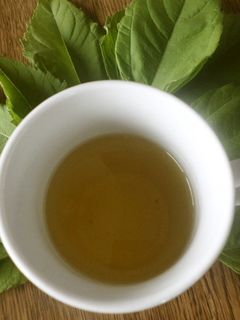 菊芋〝葉”茶-レシピのメイン写真