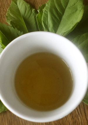 菊芋〝葉”茶-レシピのメイン写真
