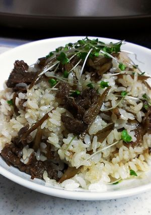簡単牛肉とゴボウの混ぜご飯-レシピのメイン写真