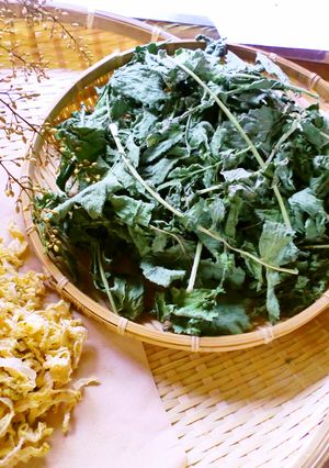 干し野菜★大根の葉っぱ、干してみました！-レシピのメイン写真
