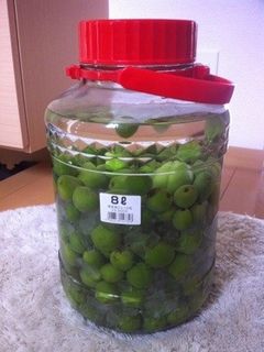 梅酒 ♡8リットル瓶で 美味しい果実酒♡-レシピのメイン写真