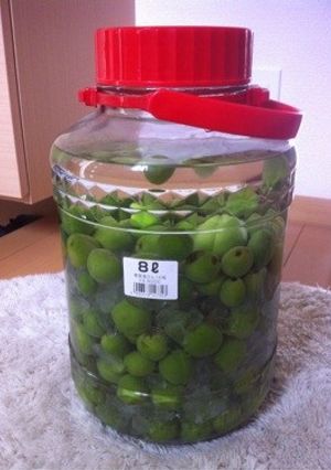 梅酒 ♡８リットル瓶で 美味しい果実酒♡-レシピのメイン写真