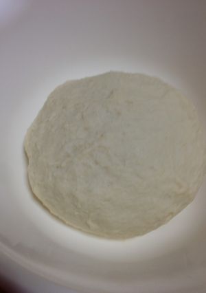 残り梅でパン作り☆種継ぎ！覚え書き。-レシピのメイン写真
