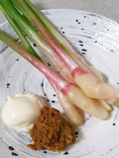谷中生姜(葉生姜)**味噌+マヨネーズ-レシピのメイン写真